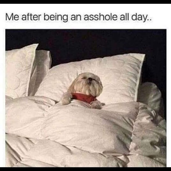 AnnJay and Sam Fashion super stars always in style - Picture 4 of 8